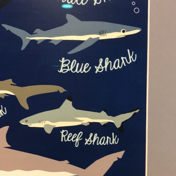 Framed art work of sharks - Picture 3 of 10